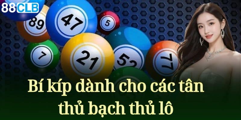 Bí kíp dành cho các tân thủ bạch thủ lô